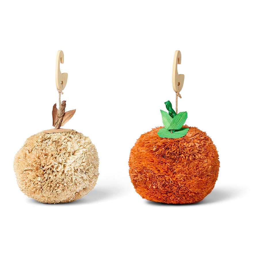 Pets at Home Cornleaf Pumpkin Small Animal Gnaw