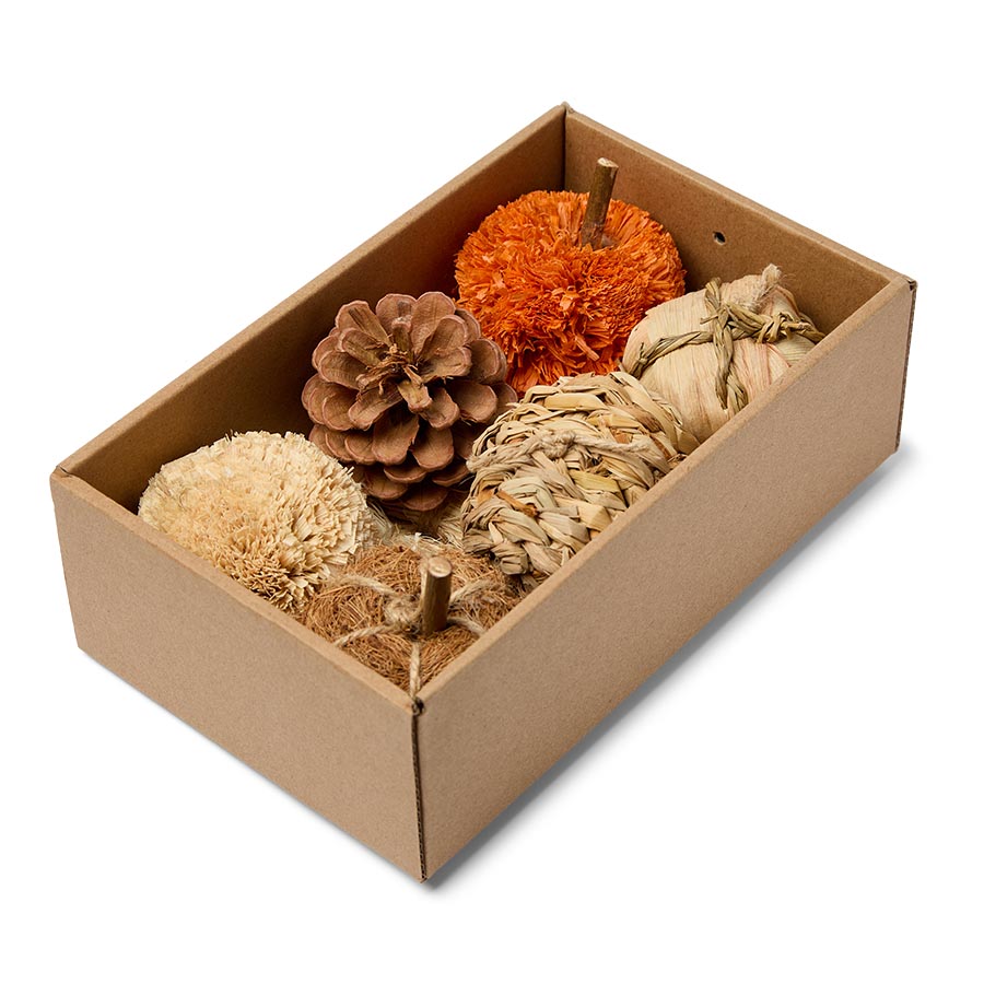 Pets at Home Autumn Harvest Box Small Animal