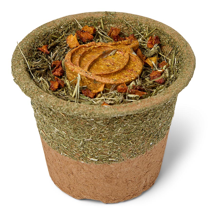 Pets at Home Limited Edition Small Animal Pumpkin Pot Treat