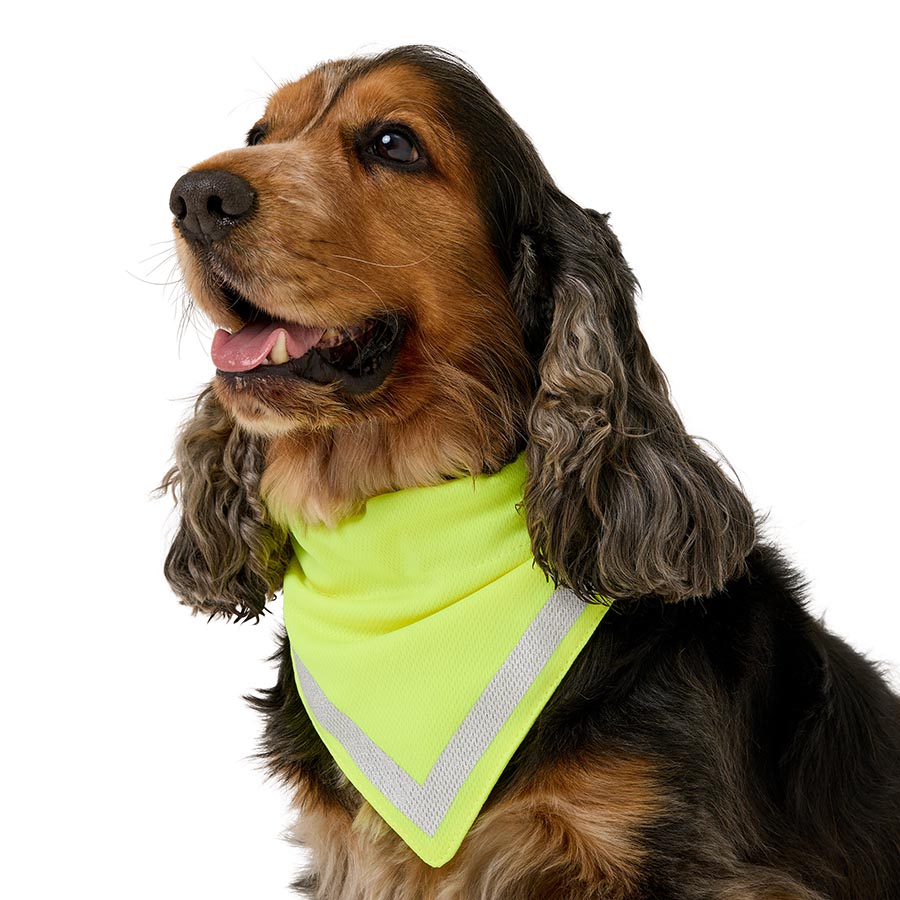 Pets At Home Reflective Bandana