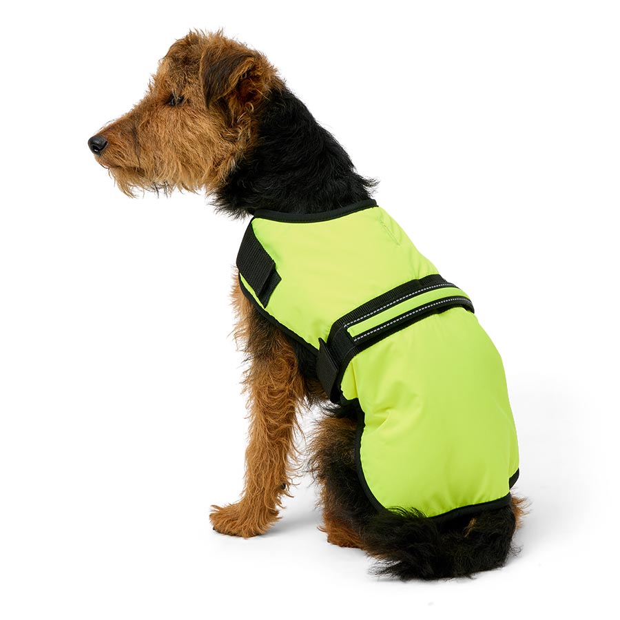 Pets At Home Light Up Hi-Vis Vest