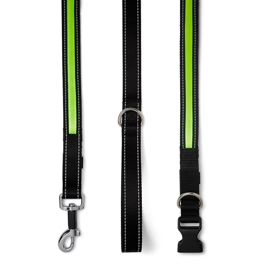 Pets At Home Light Up Collar & Lead Medium