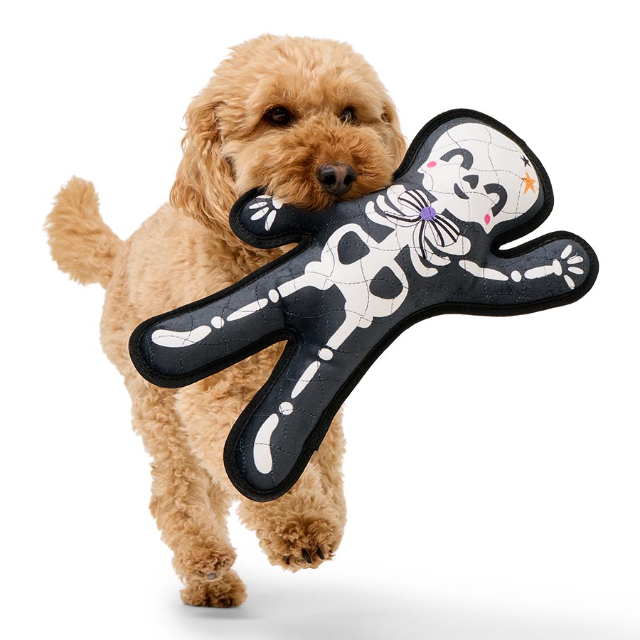 Image slide