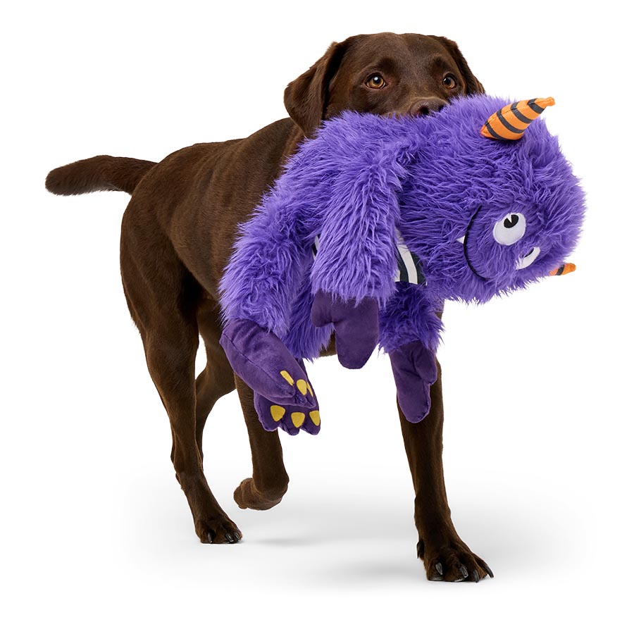 Pets at Home Monster Squeaky Dog Toy