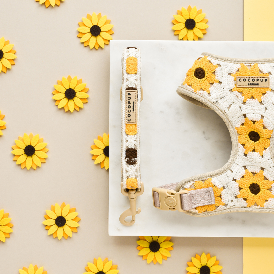 Image slide