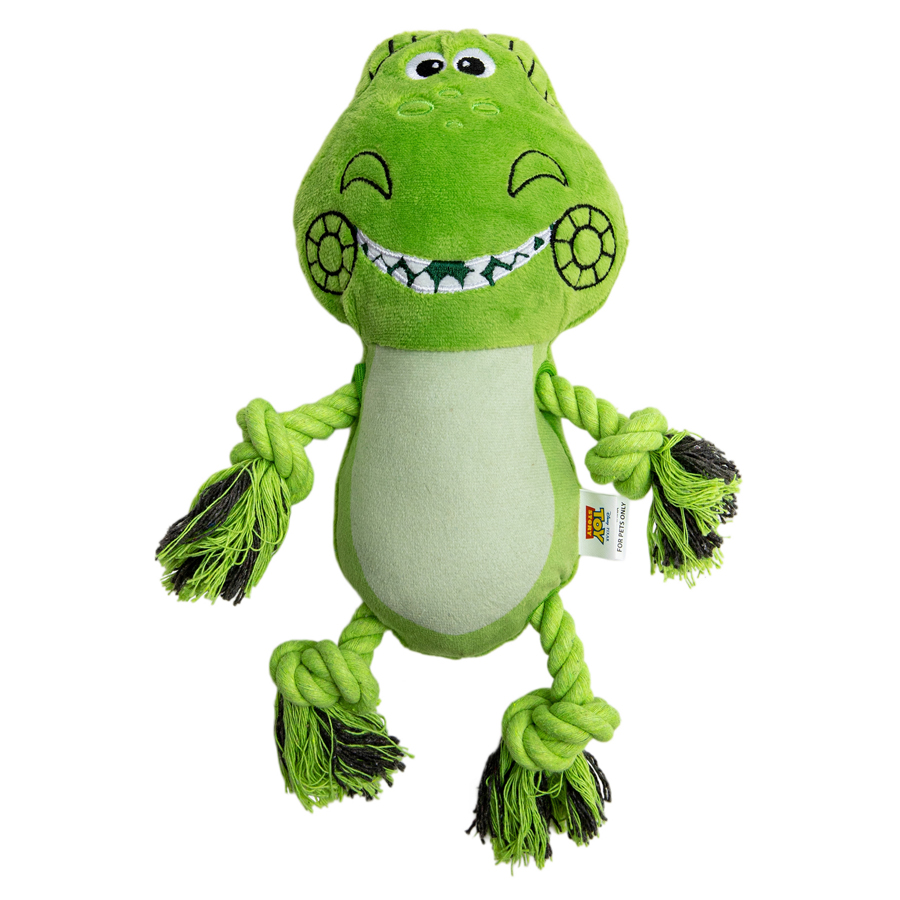 Disney Pixar Toy Story Rex Squeak & Crinkle Dog Toy