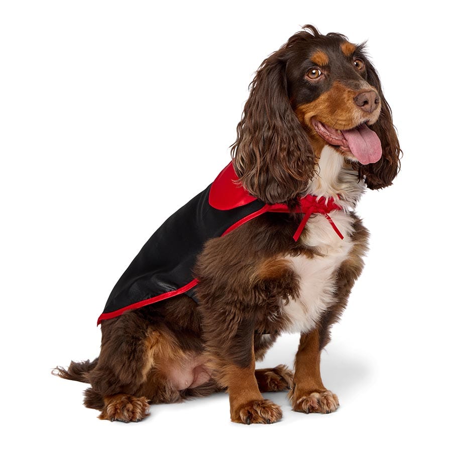 Pets At Home Vampire Dog Cape Small / Medium