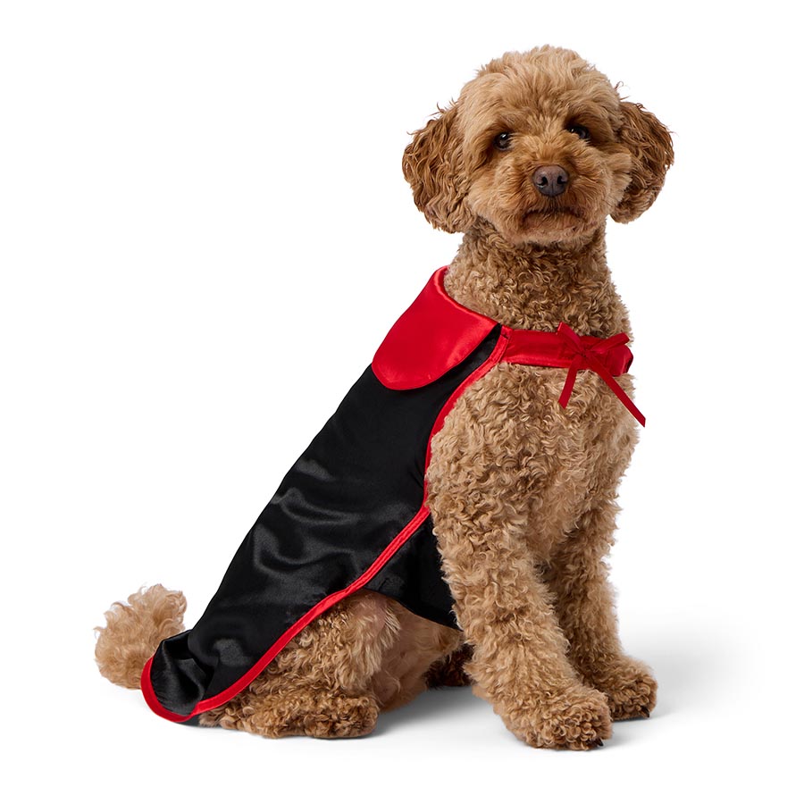 Pets at Home Vampire Dog Cape