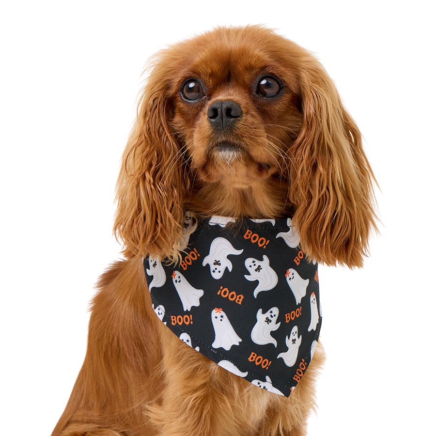 Pets at Home Ghost Dog Bandana Black