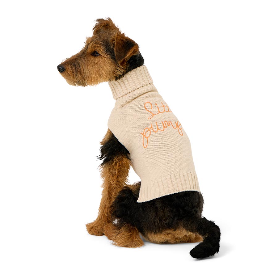Pets at Home White Little Pumpkin Dog Sweater Cream