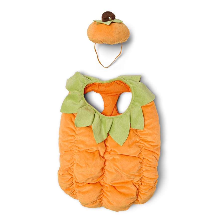 Pets at Home Pumpkin Dog Costume Orange