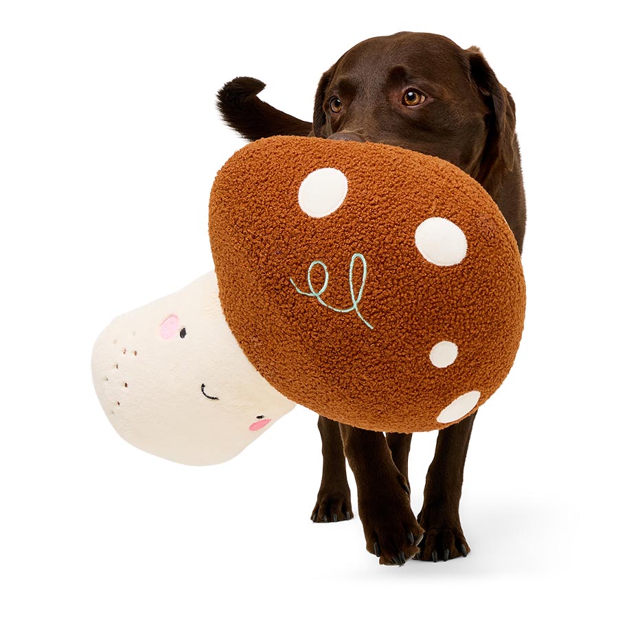 Pets at Home Plush Mushroom Squeaky Dog Toy