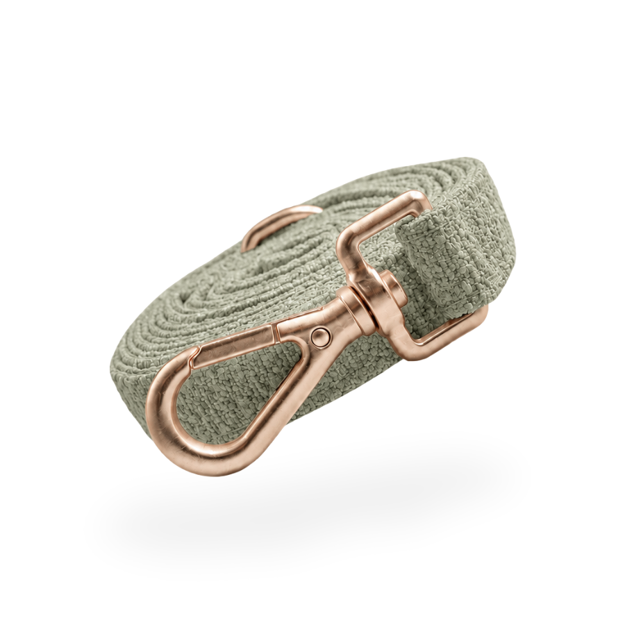 By Teddy Bouclé Dog Lead Matcha