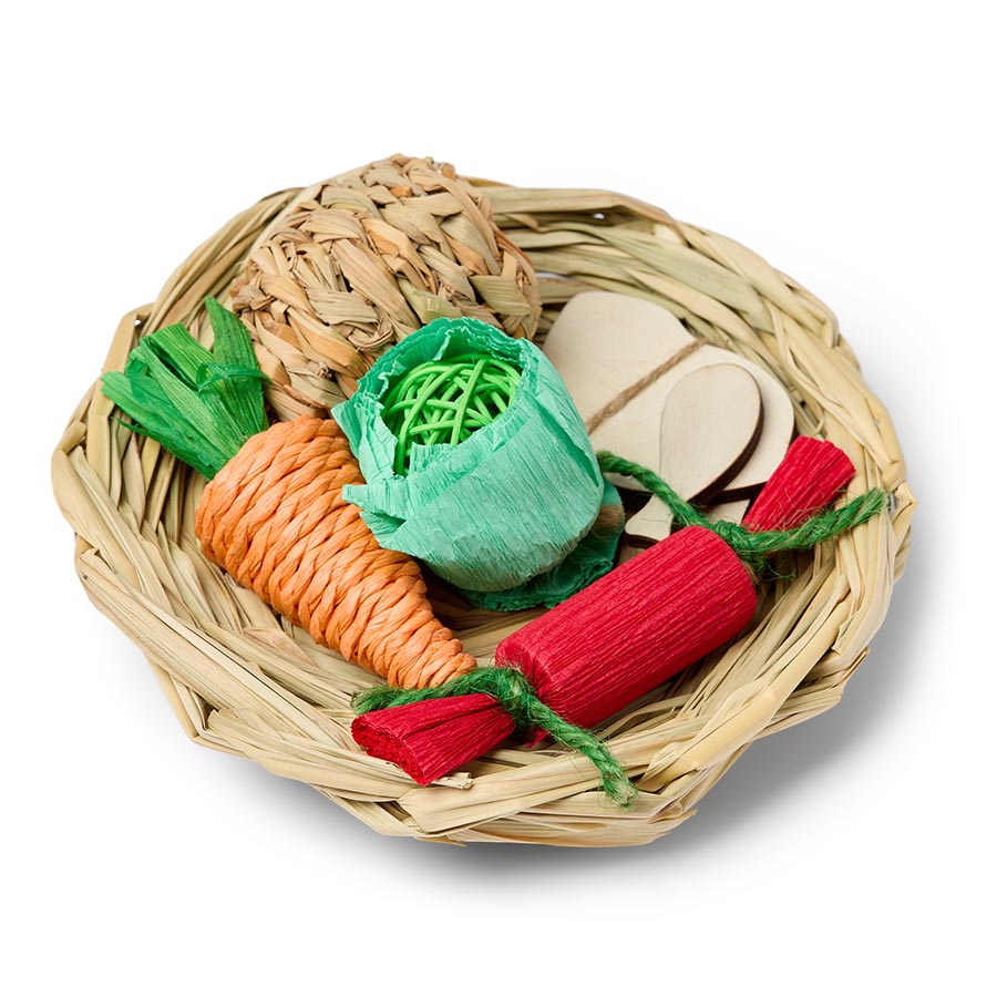 Pets at Home Christmas Dinner Small Animal Gnaw Toy