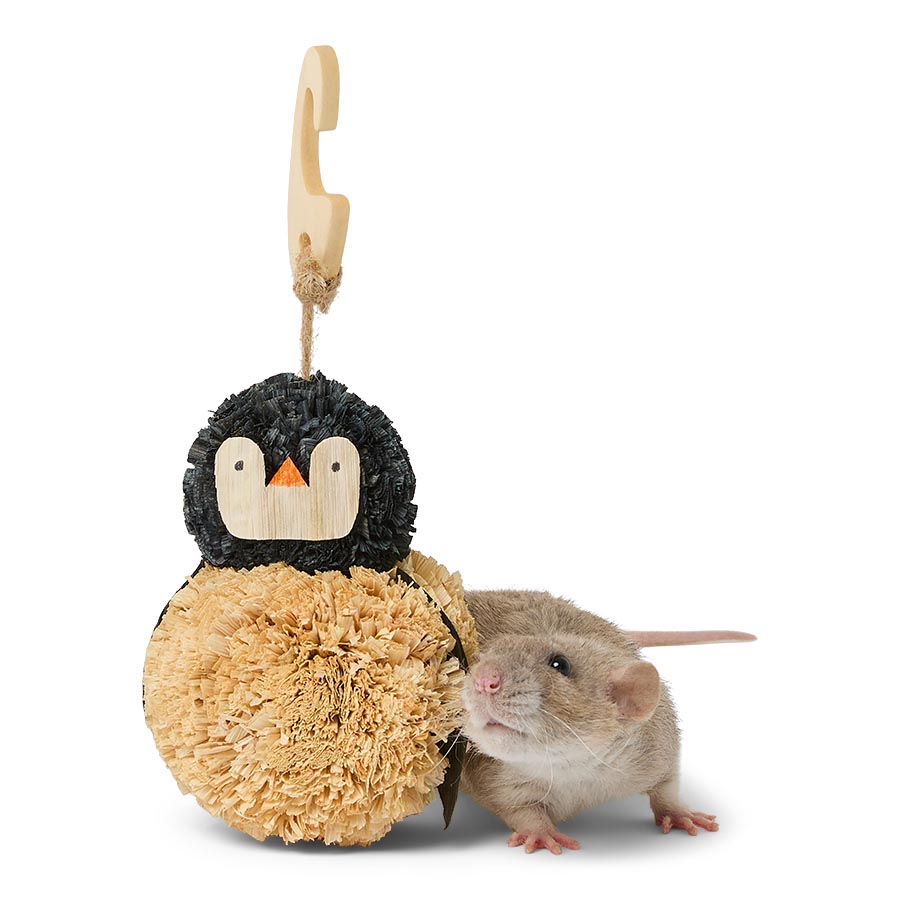 Pets at Home Christmas Penguin Cornleaf Small Animal Gnaw Toy