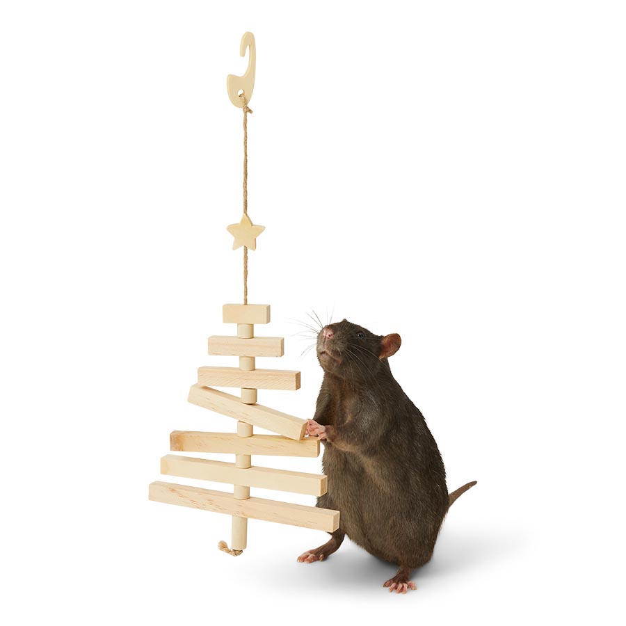 Pets at Home Hanging Nordic Tree Small Animal Gnaw Toy
