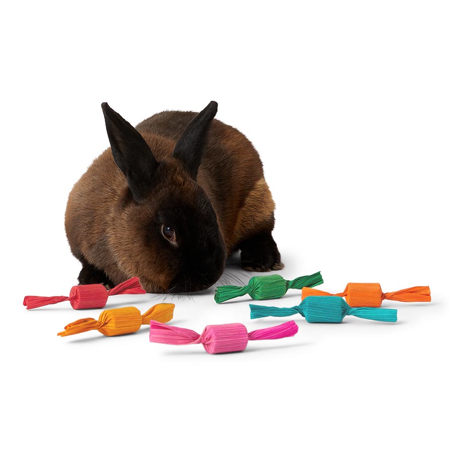Pets at Home Christmas Cracker Small Animal Gnaw Toy Assorted