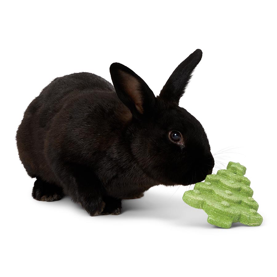 Pets at Home Christmas Tree Small Animal Gnaw Assorted