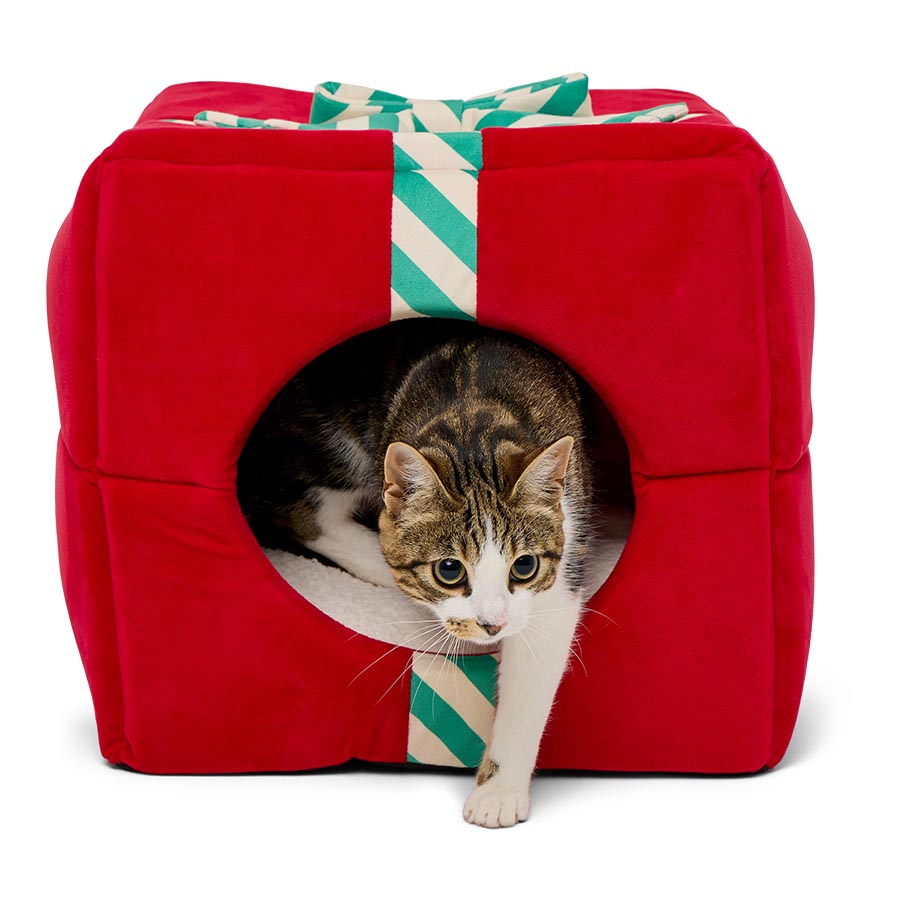 Pets at Home Christmas Gift Box Cat Bed Red