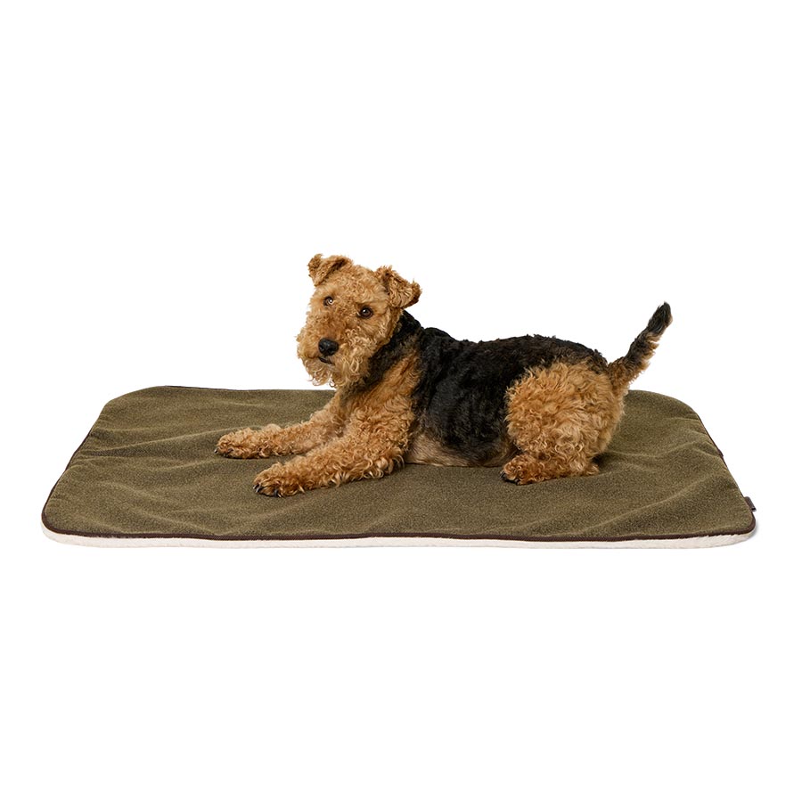 Wainwright's Luxury Brushed Herringbone Blanket Green