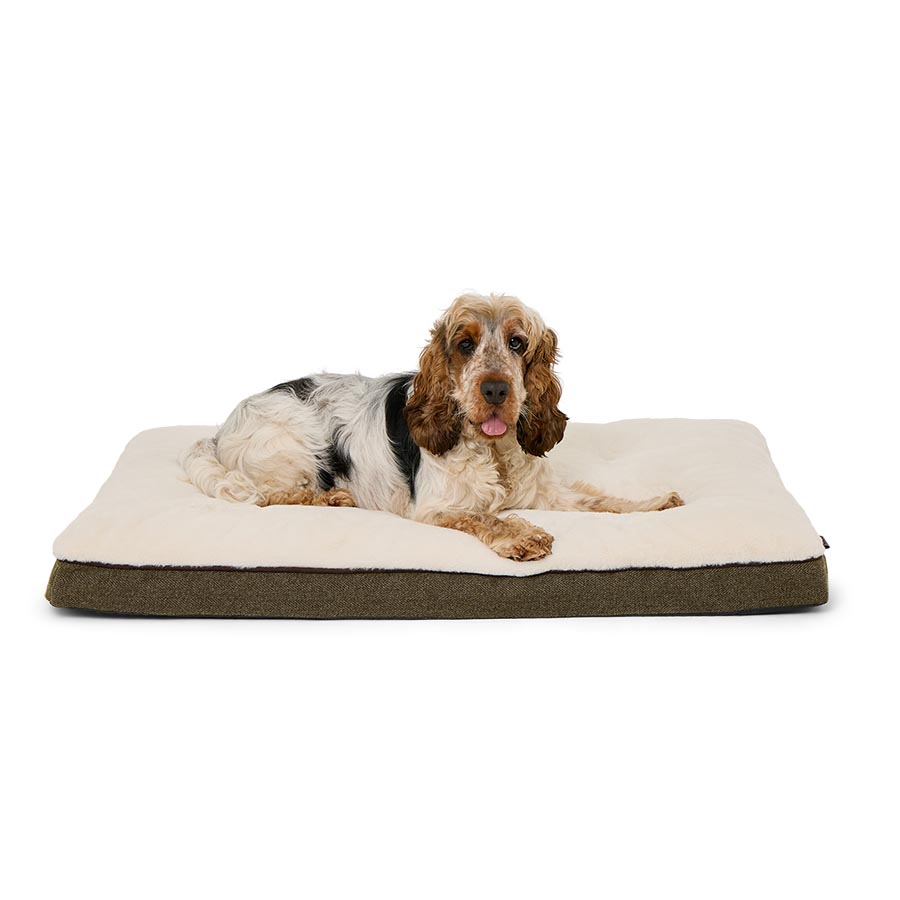 Wainwright's Brushed Herringbone Topper Mattress Green