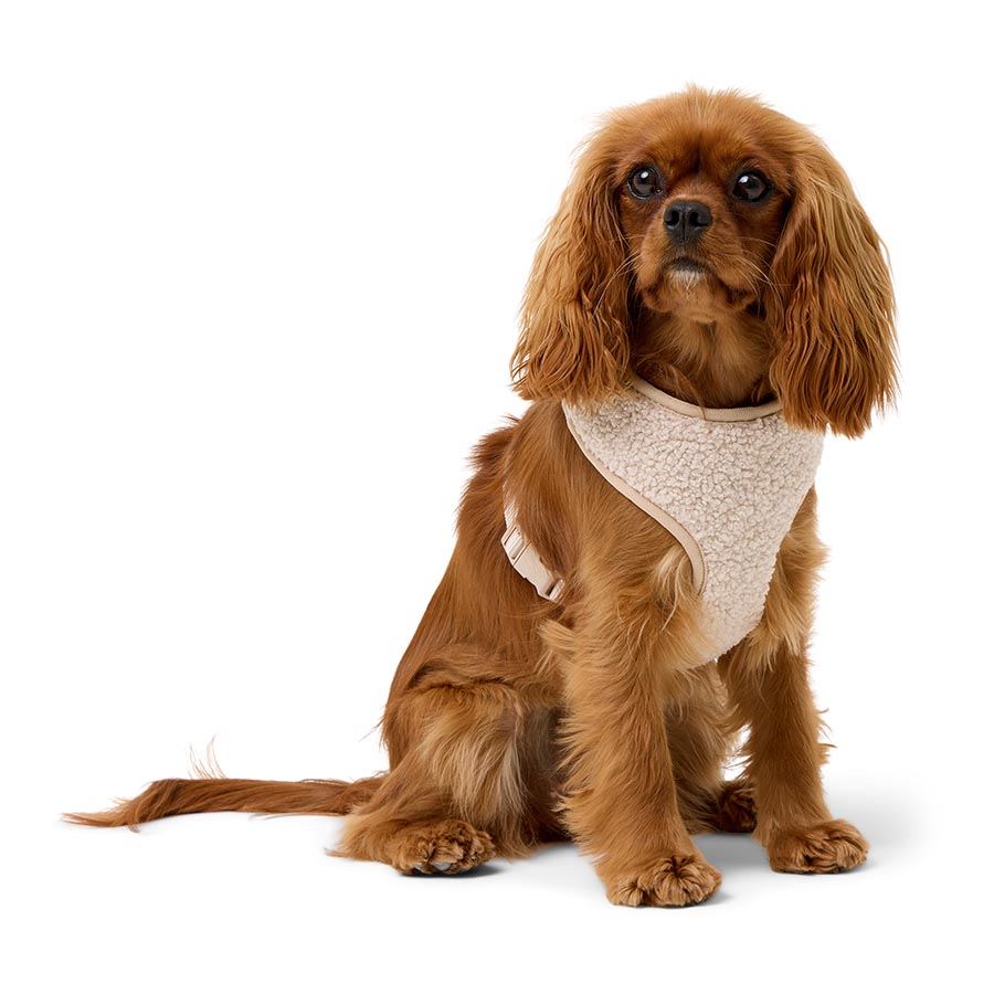 Pets at Home Sherpa Dog Harness