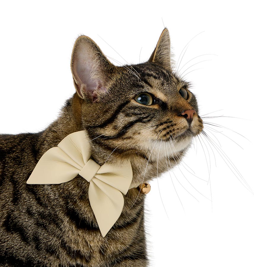 Pets at Home Christmas Cat Collar & Bow Tie Cream