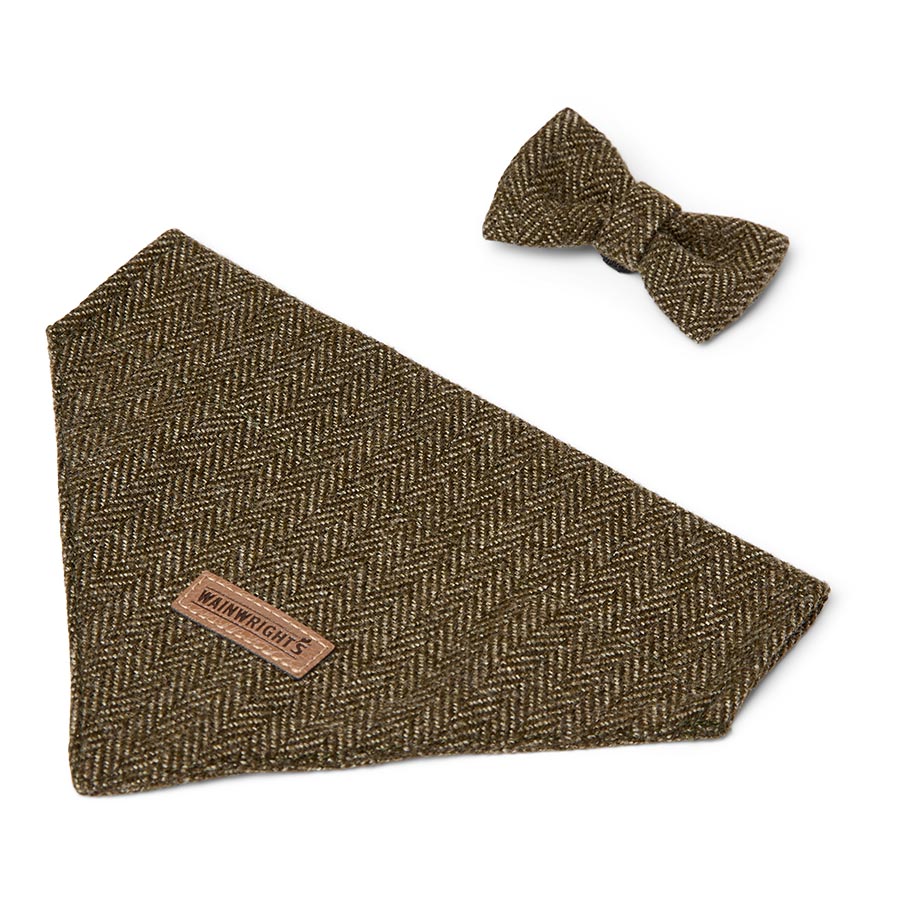 Wainwright's Luxury Brushed Herringbone Bowtie & Bandana Set Green