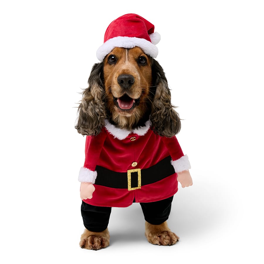 Pets at Home Christmas Santa Suit Dog Costume