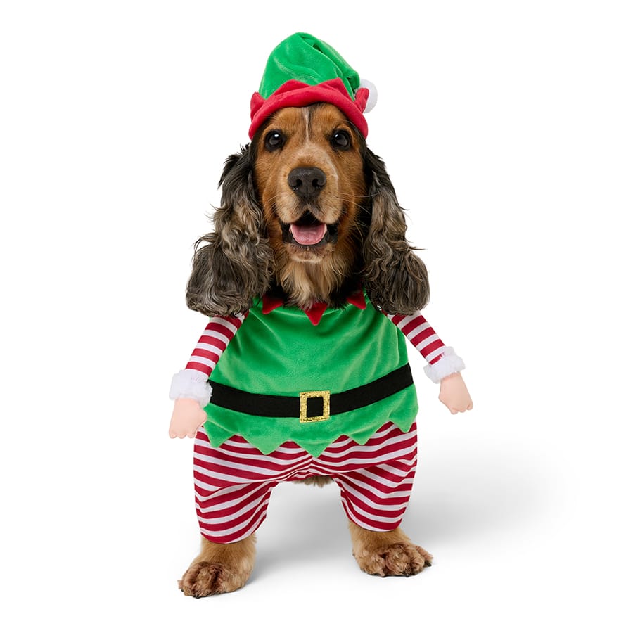 Pets at Home Christmas Stripe Elf Dog Costume