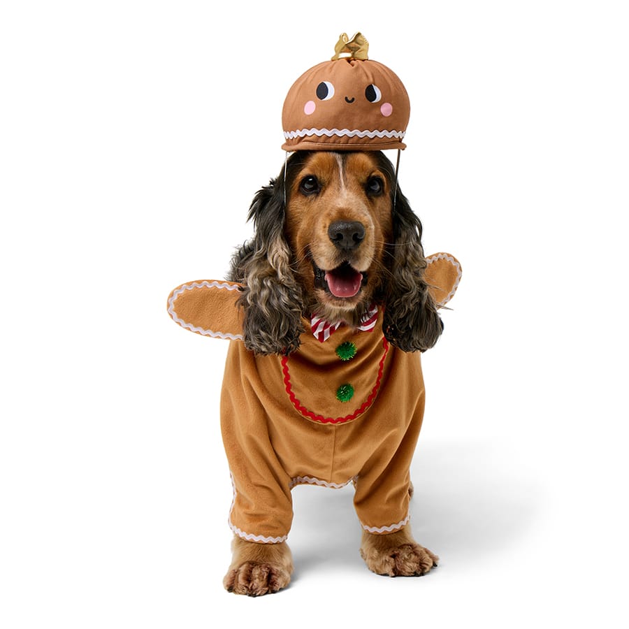Pets at Home Christmas Gingerbread Man Dog Costume