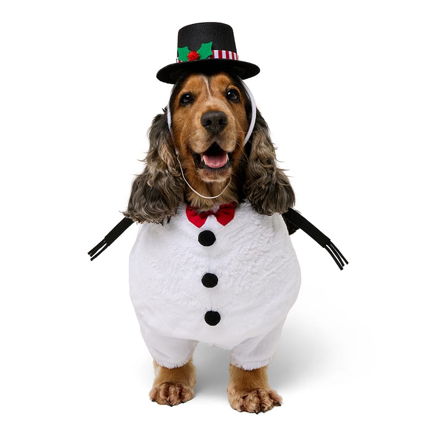 Pets at Home Christmas Snowman Dog Costume