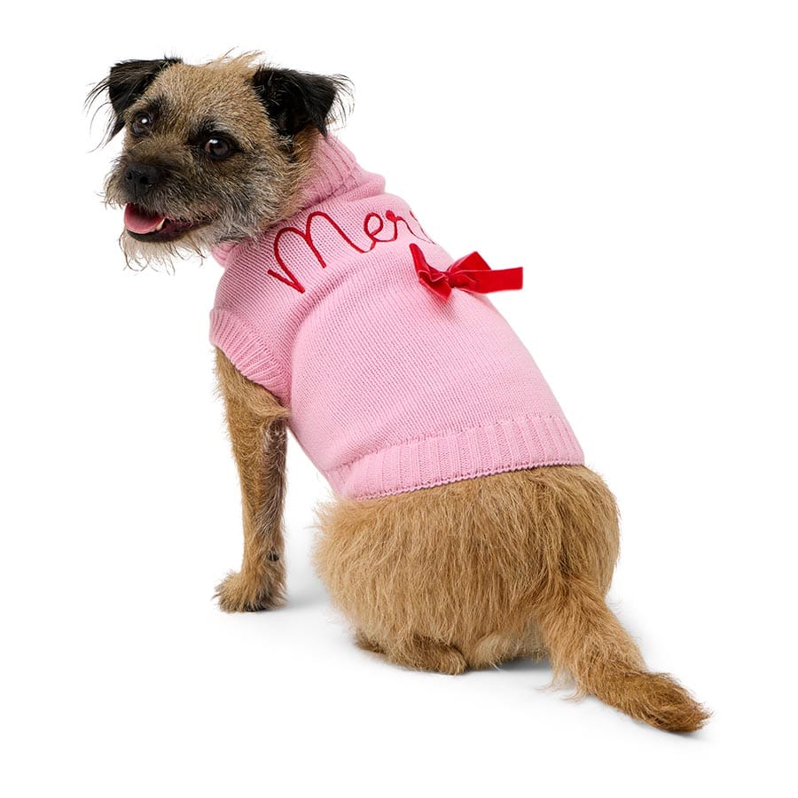 Pets At Home Christmas Merry Bow Dog Jumper Small