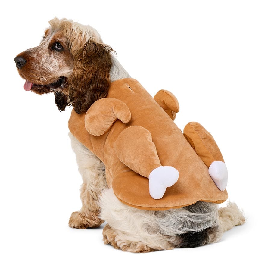 Pets At Home Christmas Turkey Dog Costume Medium