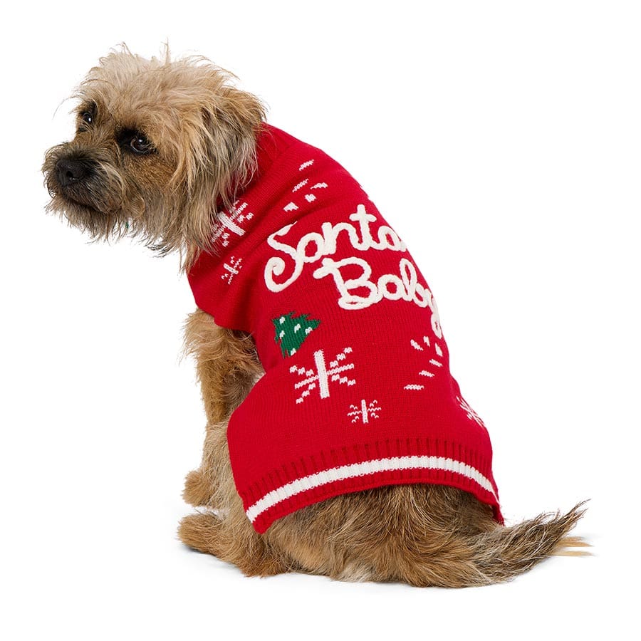 Pets At Home Christmas Santa Baby Dog Jumper Small