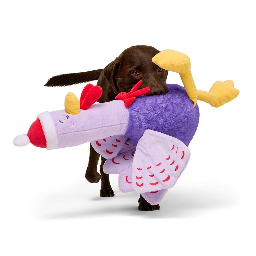 Image slide