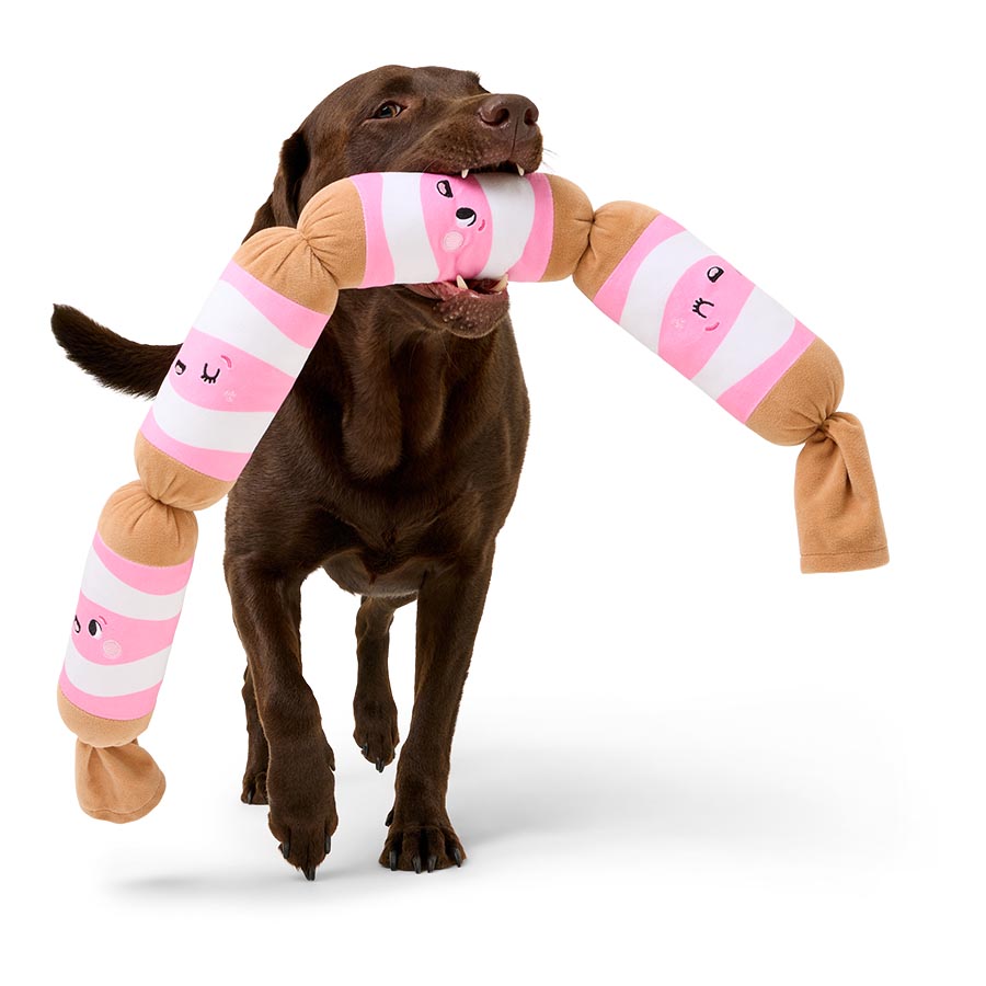 Pets at Home Christmas Pigs In Blankets Squeaky Plush Dog Toy