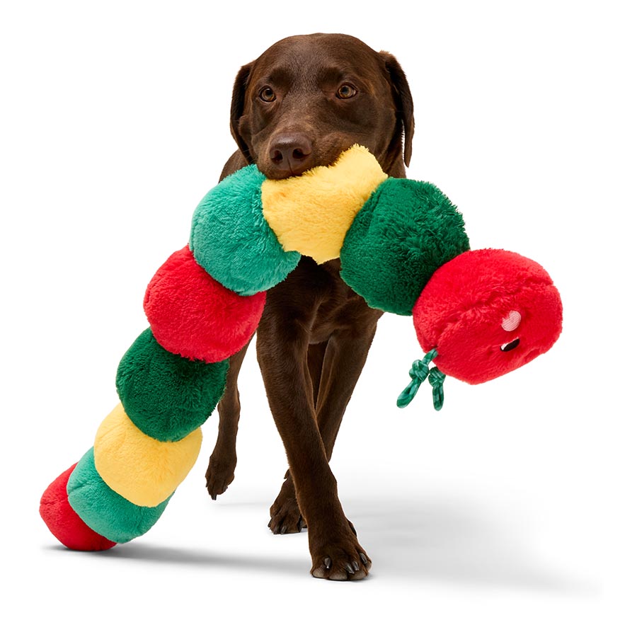 Pets at Home Christmas Caterpillar Squeaky Plush Dog Toy