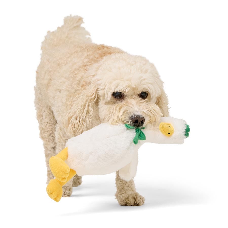 Image slide