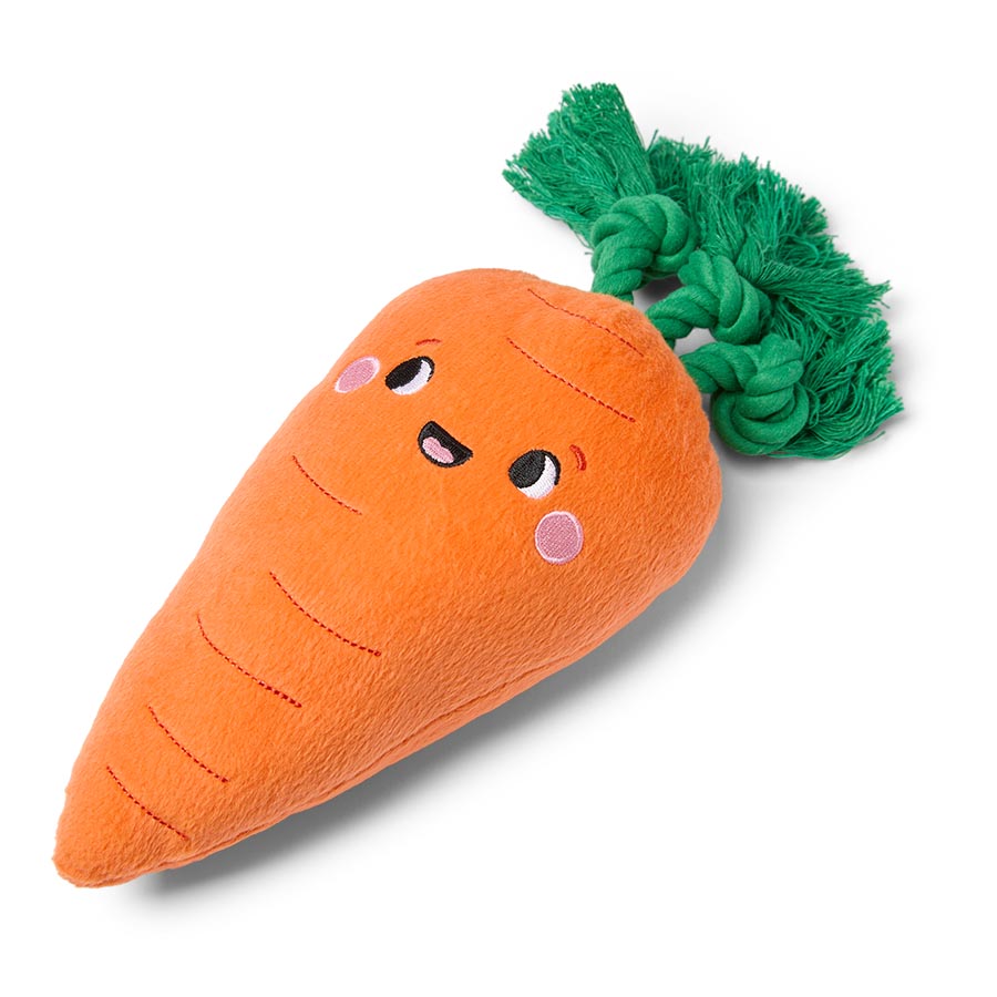 Pets at Home Christmas Carrot Squeaky Plush with Rope Dog Toy