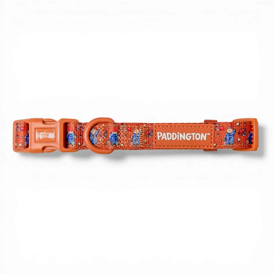 Pawsome Paws Boutique x Paddington Collar Orange