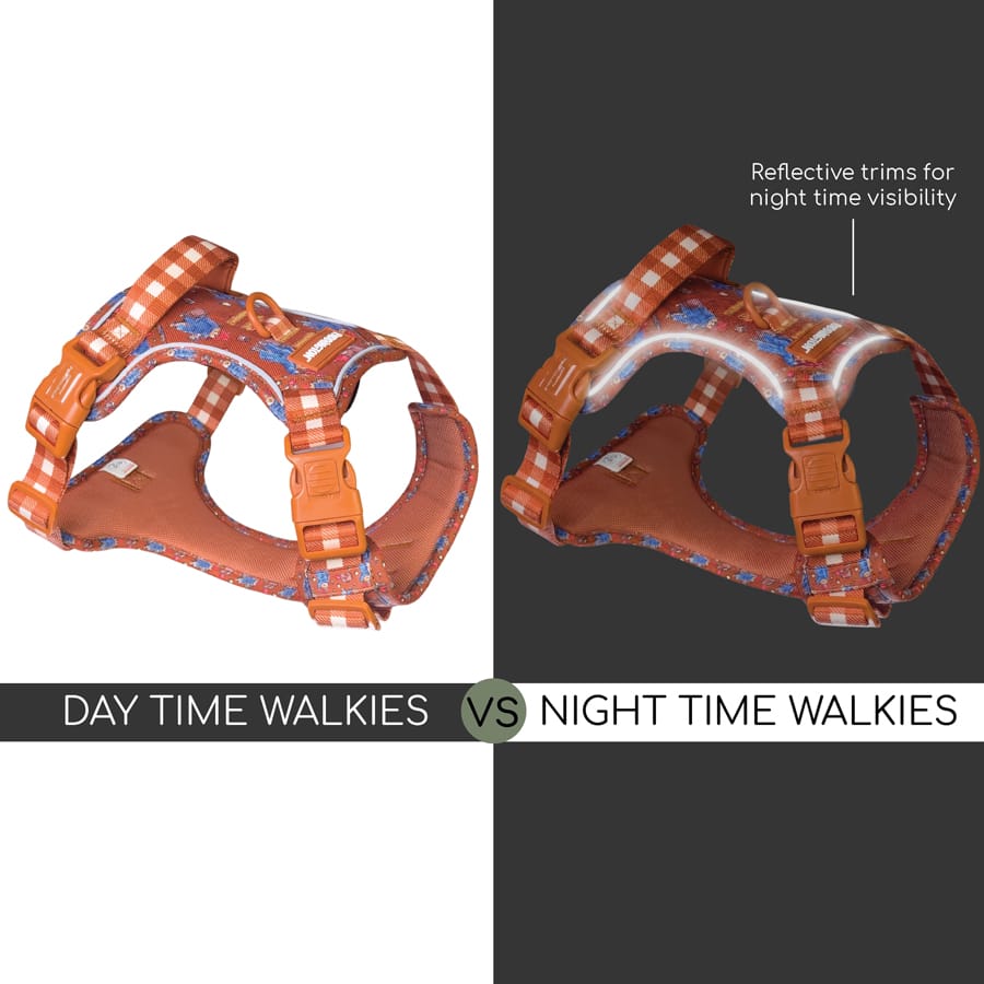 Image slide