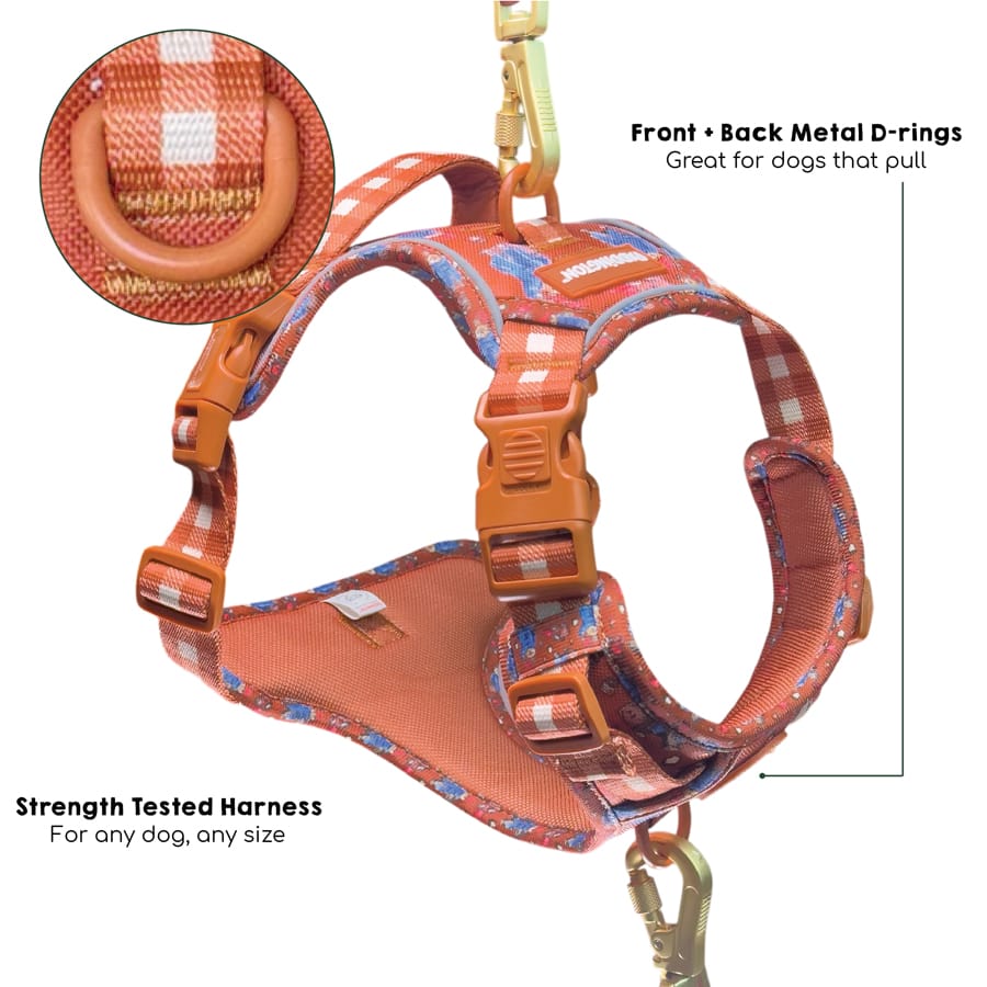 Image slide