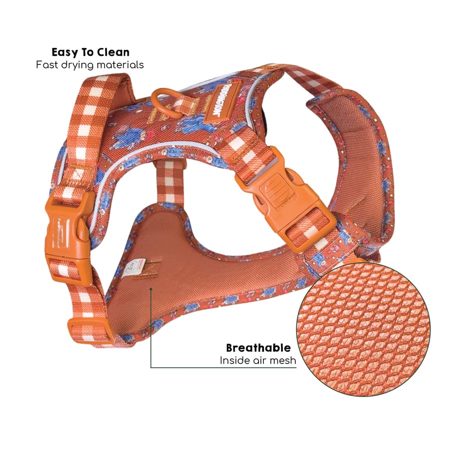 Image slide