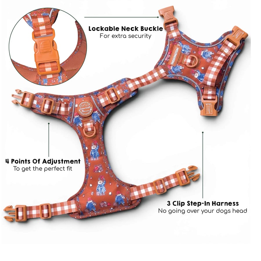 Image slide