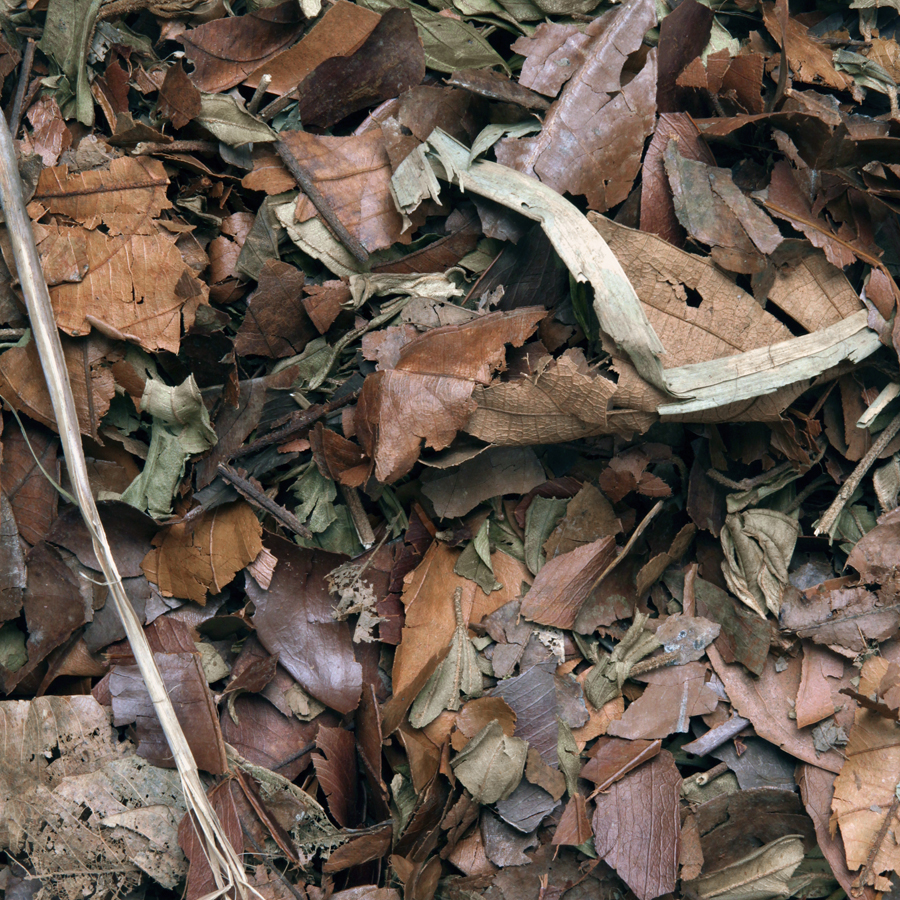 Image slide