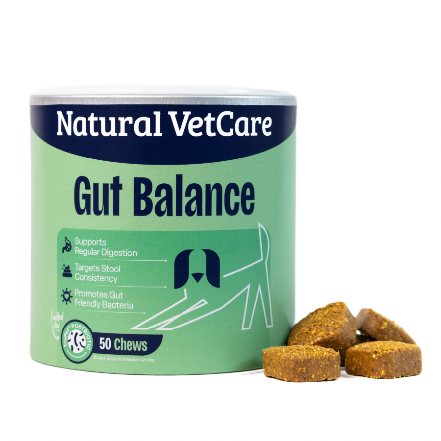 Natural VetCare Gut Balance Chews For Dogs