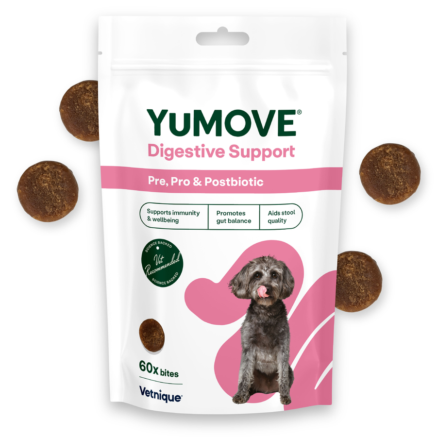 YuMOVE Digestive Support Pre, Pro & Postbiotic Bites for Dogs x60