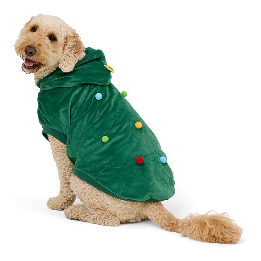 Pets At Home Christmas Tree Dog Costume X Large