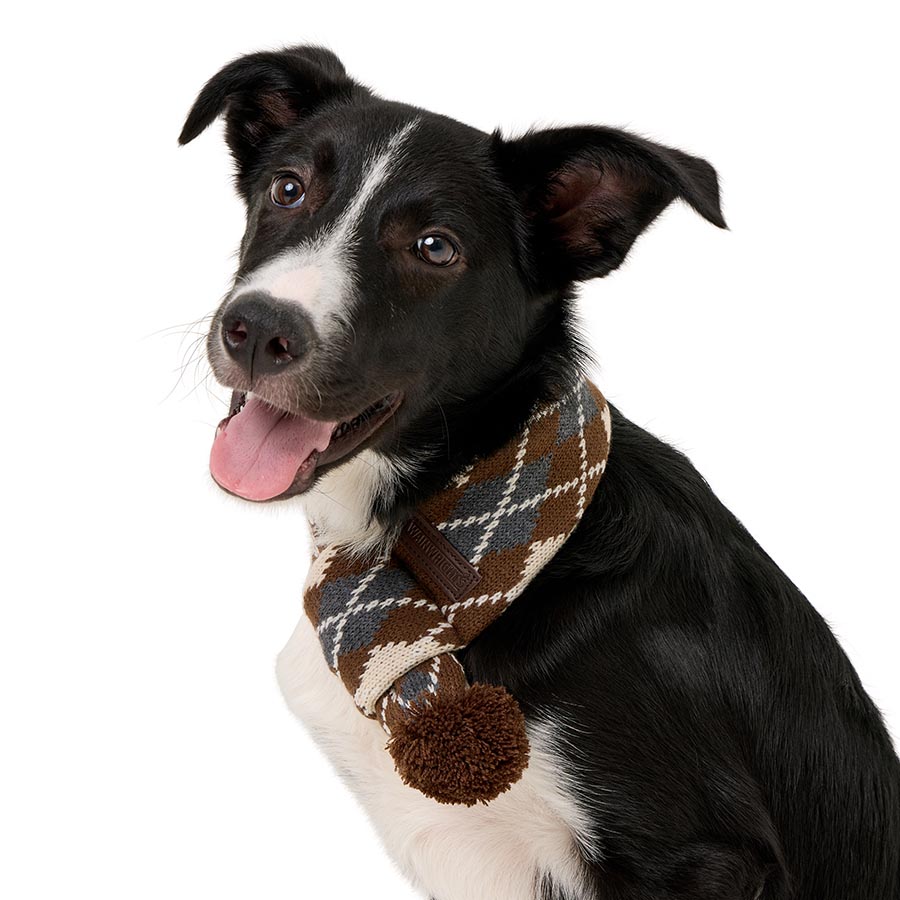 Wainwright's Argyle Knitted Dog Scarf Brown
